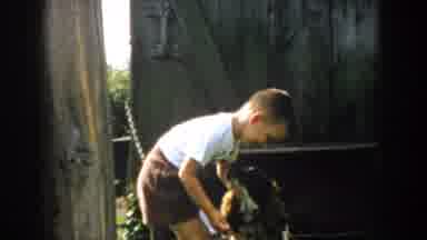 Michigan (1958): A Boy Plays With A Dog That Is Chained By The Neck