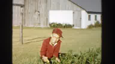 Michigan (1958): Farm Life Being Represented By Children Playing The Role Of