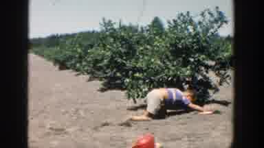 Michigan (1958): Boy Wearing Blue Shirt Pushes Object Through Garden Dirt On A