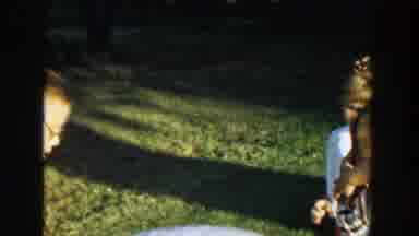 Michigan (1958): Woman Wearing White Dress Picks Up Cat On A Sunny Day