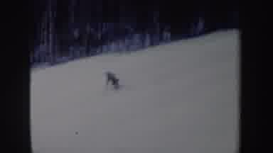 New York (1962): Person Skiing On Slope Overcast Conditions Trees In Distance