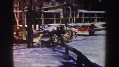 New York (1962): Man Wearing Black Sweater Rides Sled Pulled By Dogs On A Bright