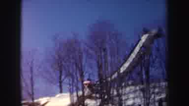 New York (1962): A Short Clip Of The Icy Forest In The Winter Showing Sparsely