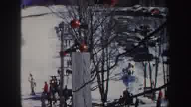 New York (1962): A Leafless Tree Growing Fruits On The Snow Outside A Building