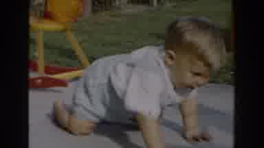 Glendale California (1962): Baby Crawling In The Ground And Nearby Rocking Dog