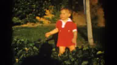 Glendale California (1962): Boy Walking In The Family Garden