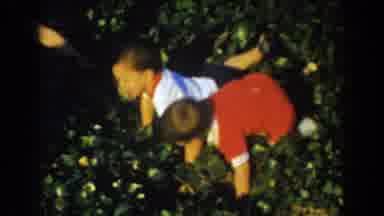 Glendale California (1962): Two Baby Boys In White And Red Dress Are Crawling In
