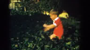 Glendale California (1962): Little Boy In Red Jumper Walking In Tall Green Vines