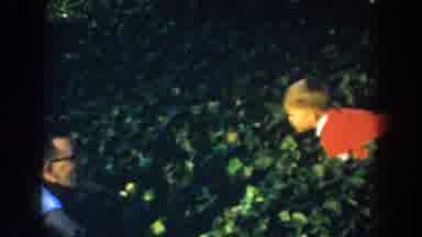 Glendale California (1962): A Dad And His Little Baby Playing On Some Leaves Bush
