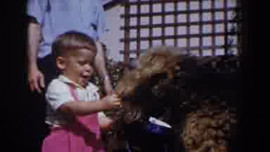 Glendale California (1962): Toddler Pets A Furry Dog