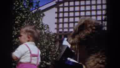 Glendale California (1962): A Little Kid Is Standing Outside And Feeding An Animal