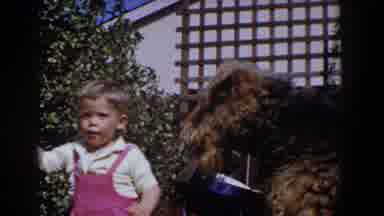 Glendale California (1962): Young Boy Feeds His Dog Treats With Help From His