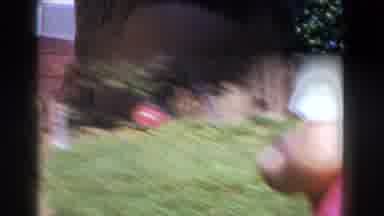 Glendale California (1962): A Little Baby Playing With His Dog At The Backyard Of