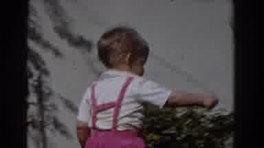 Glendale California (1962): Young Female Child Feeding Dog With Treats Given To
