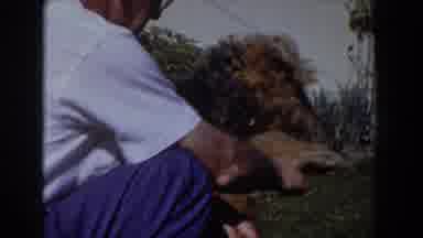 Glendale California (1962): A Baby Boy Running On The Grass Of A Backyard And An
