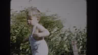 Glendale California (1962): Toddler Wearing White Overalls Stands Near Small Green