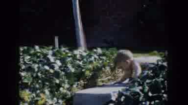 Glendale California (1962): Little Kid Learning How To Walk Going Down The Stairs