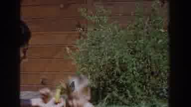 Glendale California (1962): A Woman Gives A Snack To Her Baby Who Is Struggling To