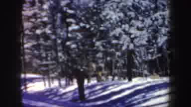 New Hampshire (1962): Two Guys In Different Jackets Skiing Down A Path On A Sunny