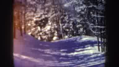 New Hampshire (1962): Person Wearing Brown Jacket Skis Towards Snow Covered Trees