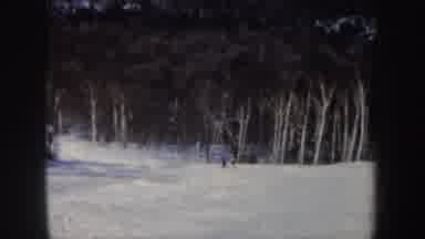New Hampshire (1962): A Forest With Snow And People Doing Some Ski Over It And