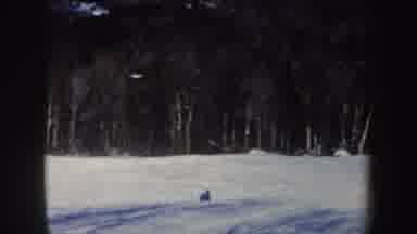 New Hampshire (1962): Skiing In The Snow In Front Of A Forest In A Snowy Valley