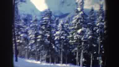 New Hampshire (1962): View Of Snow Covered Trees And Person Skiing On Snow Covered