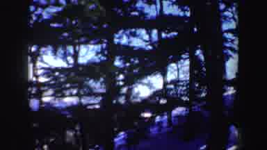 New Hampshire (1962): Free Area Of A Mountain Showing Trees And Someone Skiing On