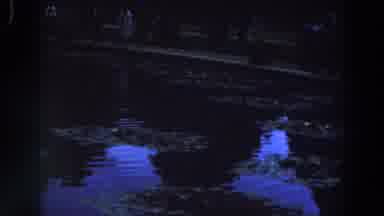 Ireland (1961): Grouping Of People At Water At Dusk