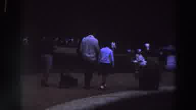 Ireland (1961): A Black Dog Is Being Walked In A Park As Other People Walk By