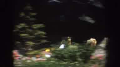Disneyland California (1962): Matterhorn Bobsled Ride Old Footage Historic Ride