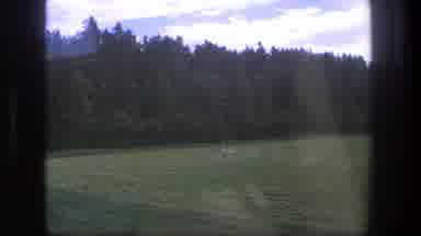 Denmark (1975): Zooming In On A Deer On A Field Going In A Forest From A