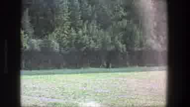 Denmark (1975): Traveling In Forest And Grassland With The Help Of A Map