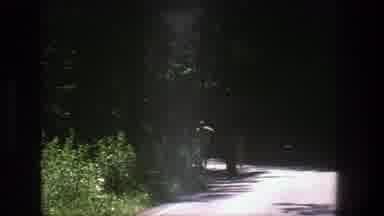 Denmark (1975): Two People Explore The Roadside Conservatory