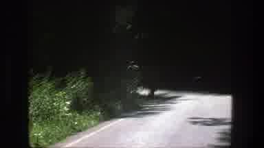 Denmark (1975): Two Men Walking By The Roadside In The Middle Of A Thick Forest