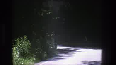 Denmark (1975): Three Man And A Woman Are Walking Under The Shadow In The Forest