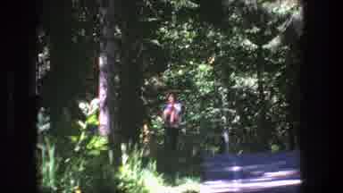Denmark (1975): Someone Walking Along A Paved Road Surrounded By A Forest
