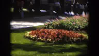 Wyoming (1951): View Of Pink And Red Blooming Flower Beds On A Bright Sunny Day