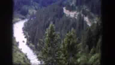 Wyoming (1951): Recording In A Wood Showing A River And Some Plants
