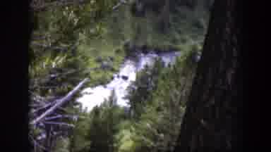 Wyoming (1951): Top Of A Hill Around Lot Of Trees Looking At The River Flow