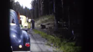 Wyoming (1951): Interested People Leave Their Car And Get Too Close To Black Bear