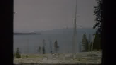 Wyoming (1951): View Of Small Green Trees And Gray Rocks On A Clear Day