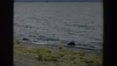 Wyoming (1951): Lake With Very Little Waves Waving Towards The Beach Which Grus