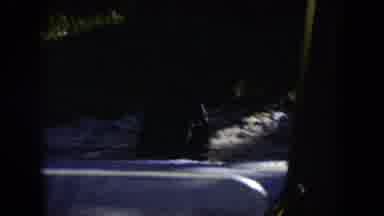 Wyoming (1951): Vintage Video Of Baby And Older Rhino Walking On Road With Cars