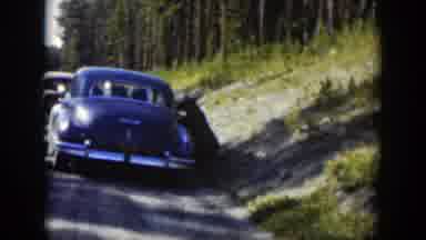Wyoming (1951): Bear Cars Black Brown Road Human Animal Mammals Trees Shoulder
