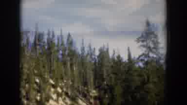 Wyoming (1951): Tall Green Trees On The Mountain Top