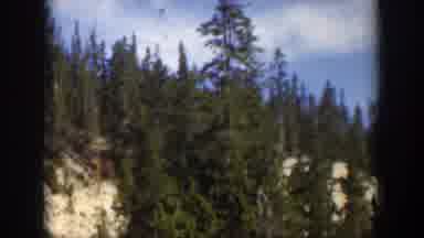 Wyoming (1951): The Beautiful Nature With Green Plantation And Plenty Of Trees