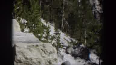 Wyoming (1951): View Of Green Trees And Light Gray Rocks On A Sunny Day