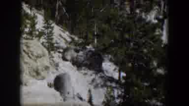 Wyoming (1951): Old Home Video Loop Spanning Steep Rocky Mountain Side Filled With