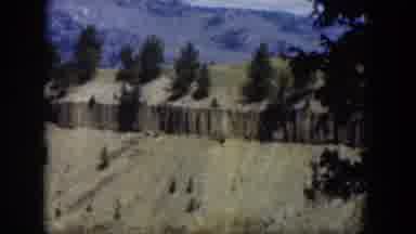 Wyoming (1951): Wonderful View Of Lushes Green Trees On A Mountain Top